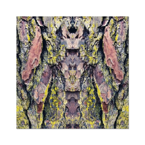 Barking Mad Too Fine Art Etching Print