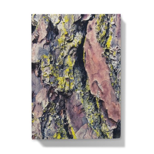 Barking Mad Too Hardback Journal