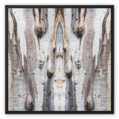 Barking Mad X3 Framed Canvas