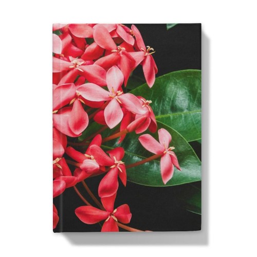 Belle Of The Ball Hardback Journal