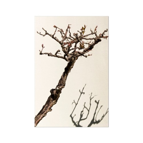 Bend And Stretch Fine Art Etching Print