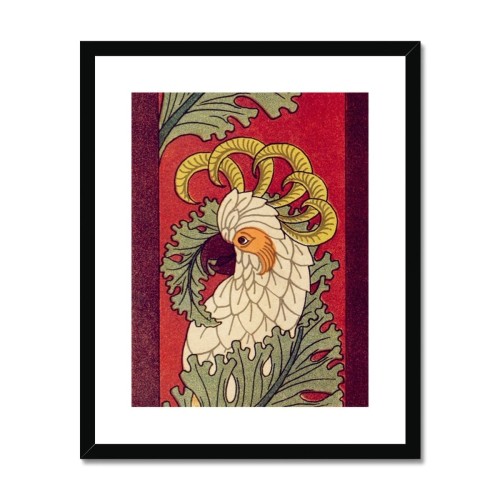 Cacatoès By Maurice Pillard Verneuil Framed & Mounted Print