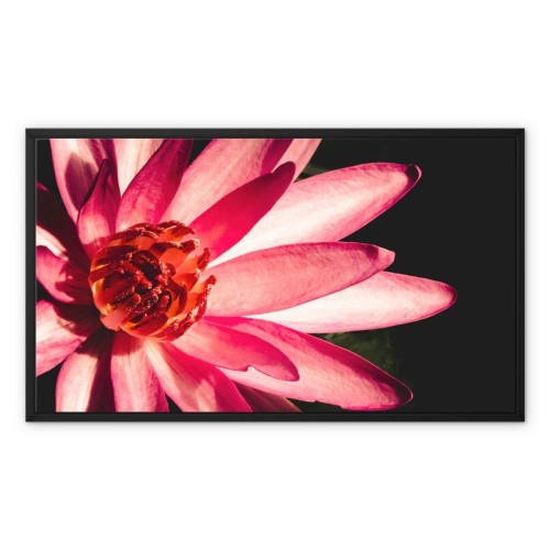 Casanova Framed Canvas