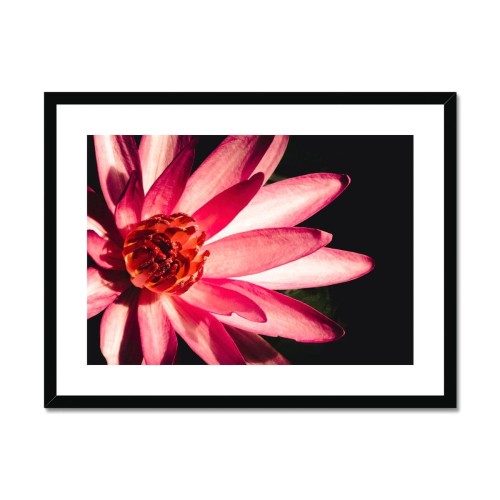 Casanova Framed & Mounted Print