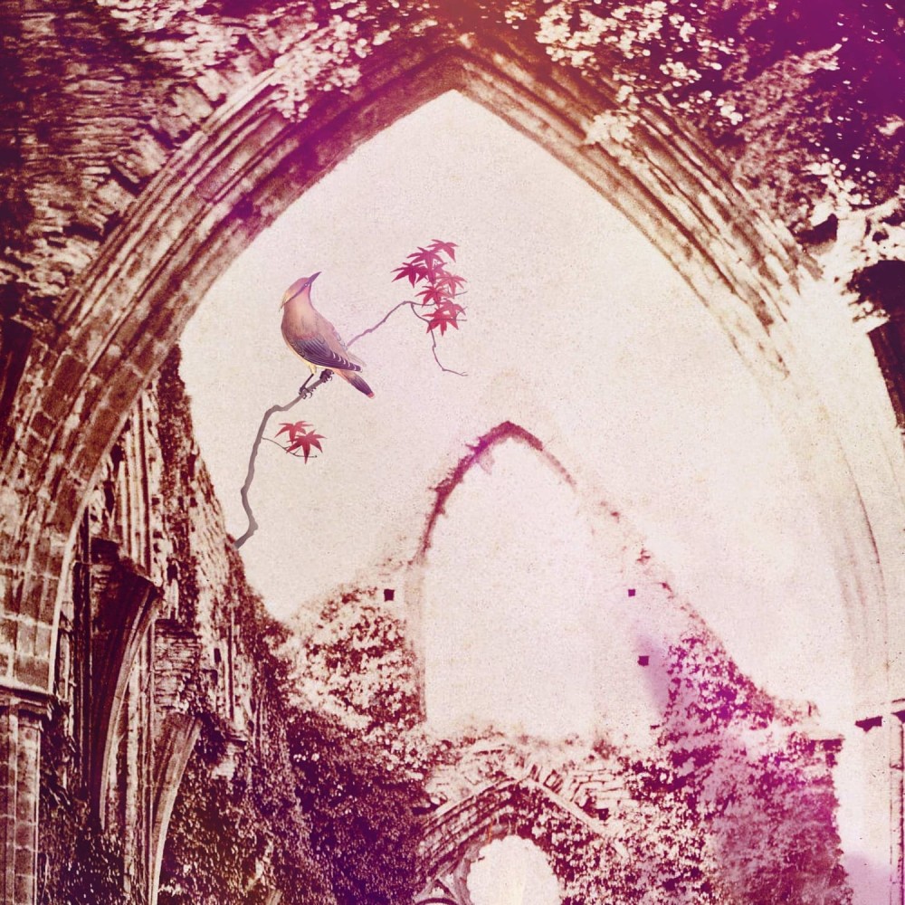 Circe The Phoenix Maker Ipad Cases (4)