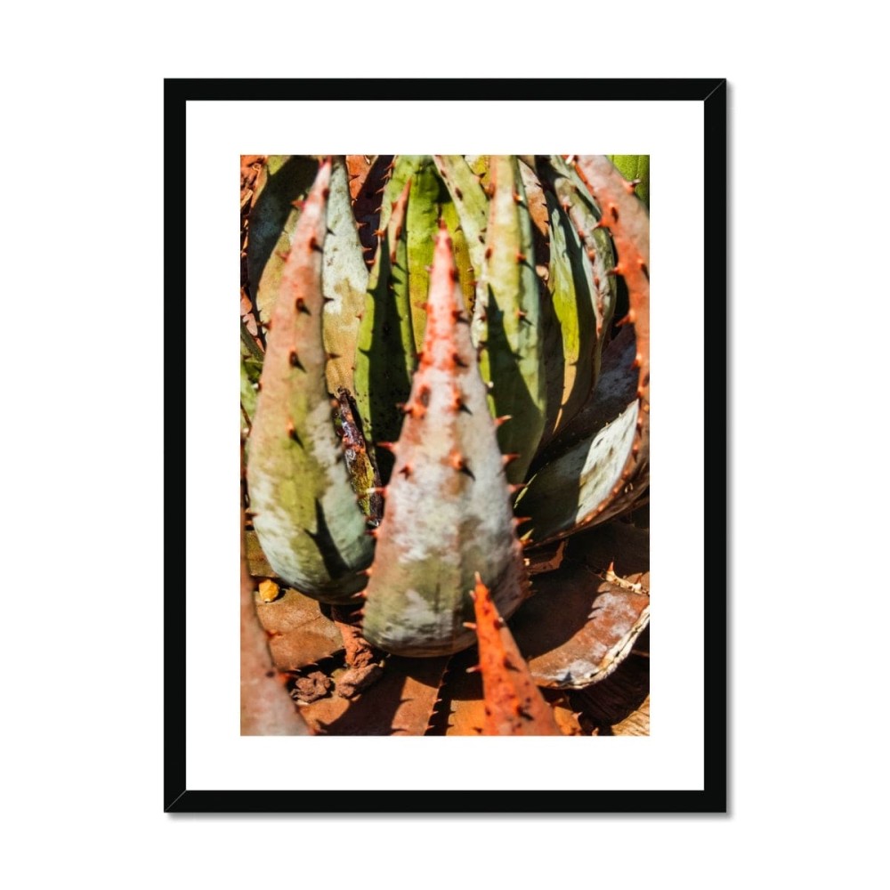Layer Cake Framed & Mounted Print