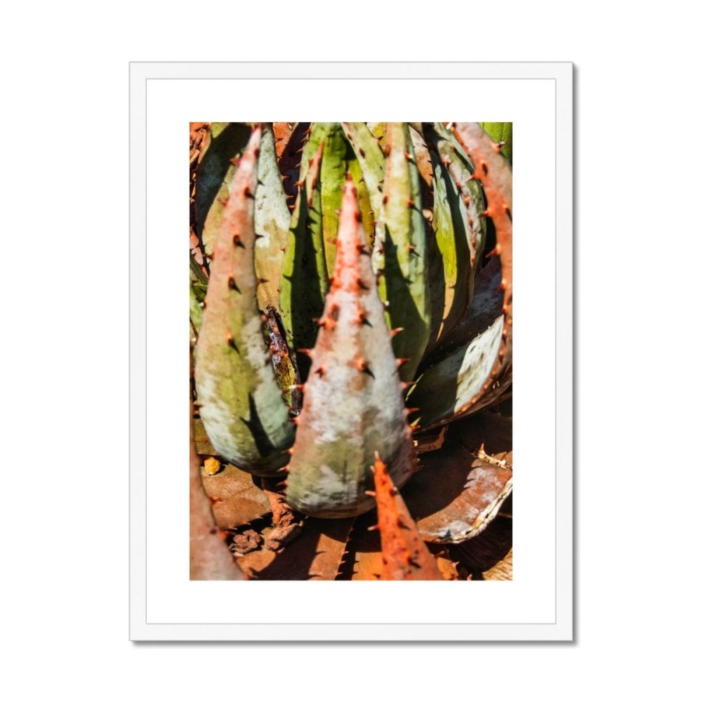 Layer Cake Framed & Mounted Print (4)