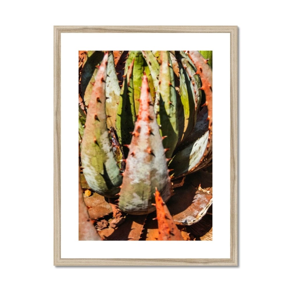 Layer Cake Framed & Mounted Print (5)