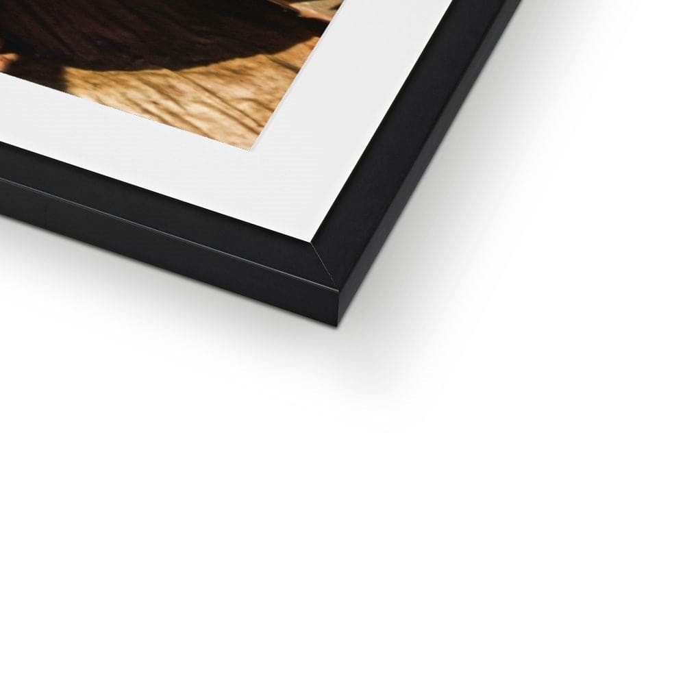 Layer Cake Framed & Mounted Print (6)