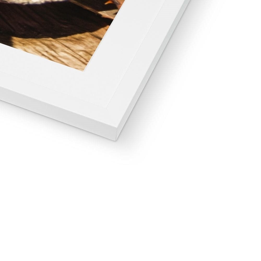 Layer Cake Framed & Mounted Print (7)