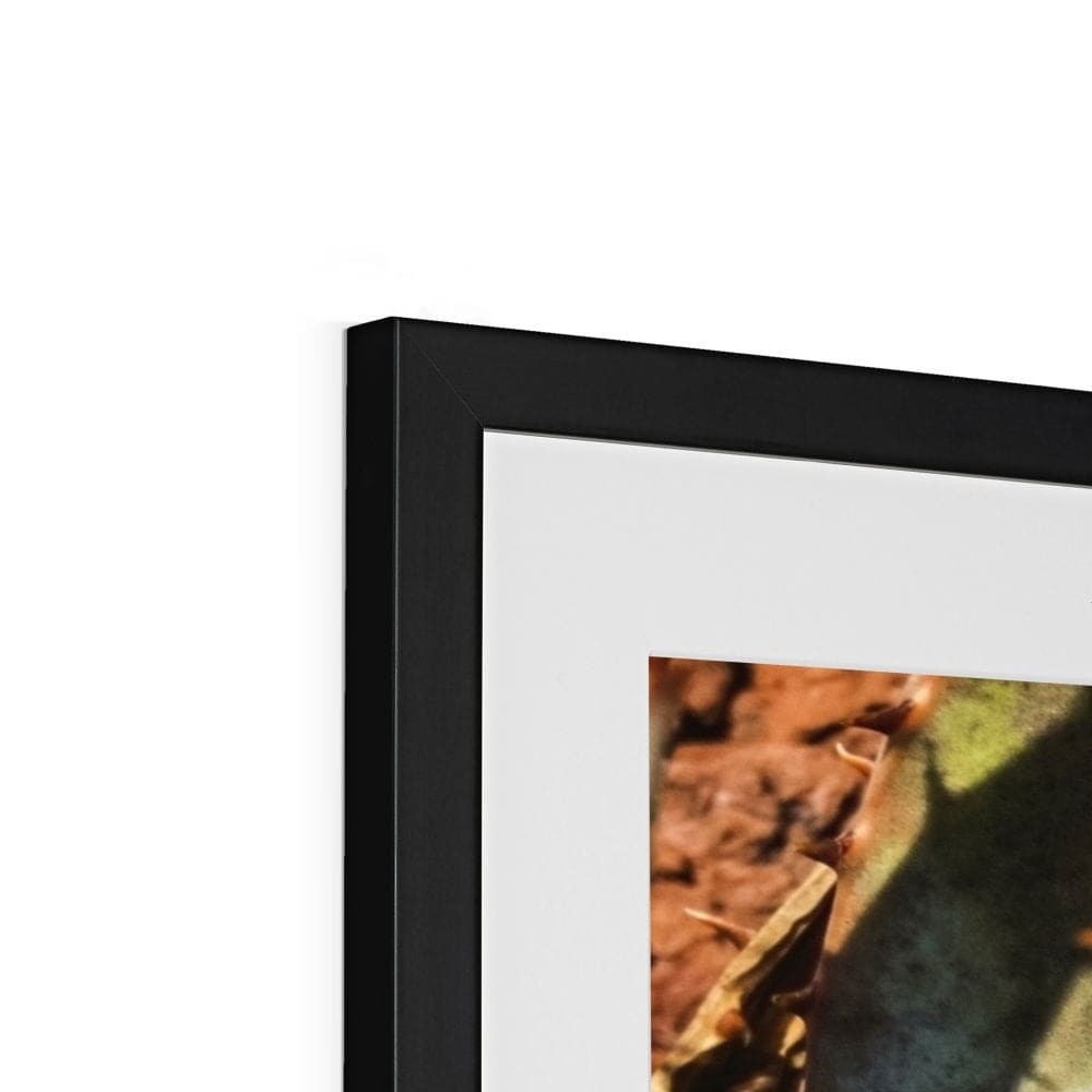 Layer Cake Framed & Mounted Print (9)