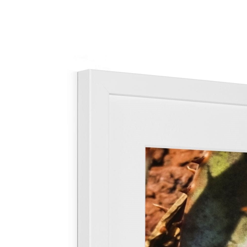 Layer Cake Framed & Mounted Print (10)